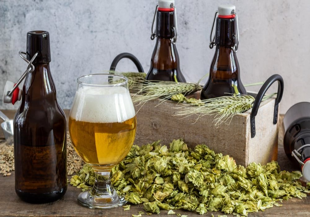 <b>Control and requirements for yeast in beer brewing equipment</b>